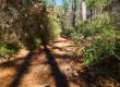 hiking adventure from Braunig Lake RV Resort in Texas