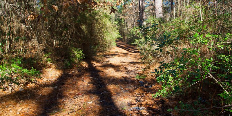 hiking adventure from Braunig Lake RV Resort in Texas hiking adventure from Braunig Lake RV Resort in Texas