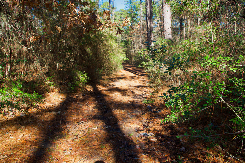 hiking adventure from Braunig Lake RV Resort in Texas hiking adventure from Braunig Lake RV Resort in Texas