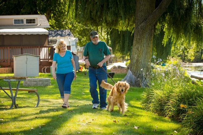 Camping With Pets at Lake Resort