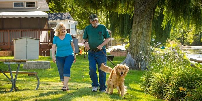 Camping With Pets at Lake Resort